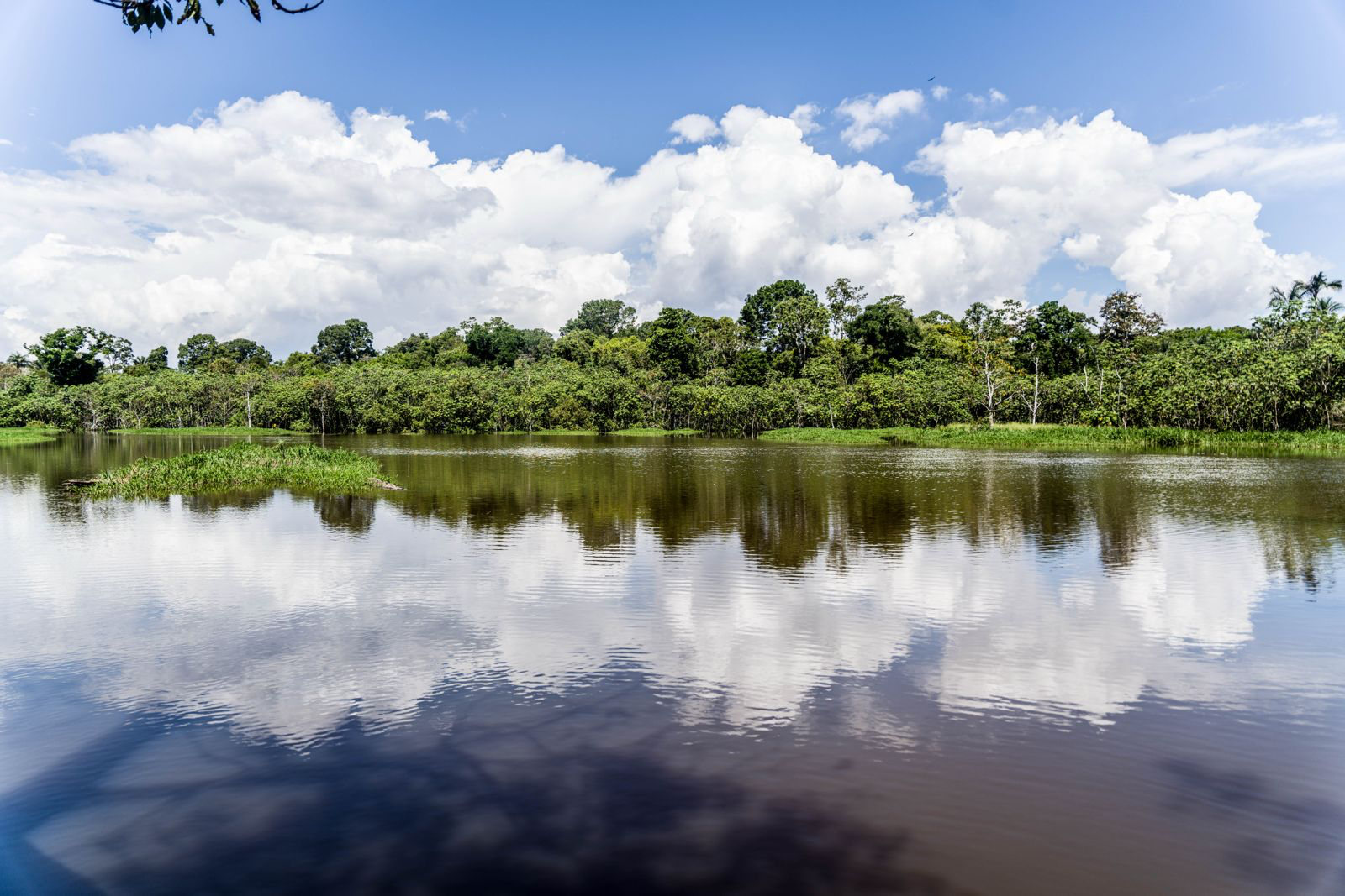 Amazon Tours, Manaus Airport Transfers & Jungle Lodges